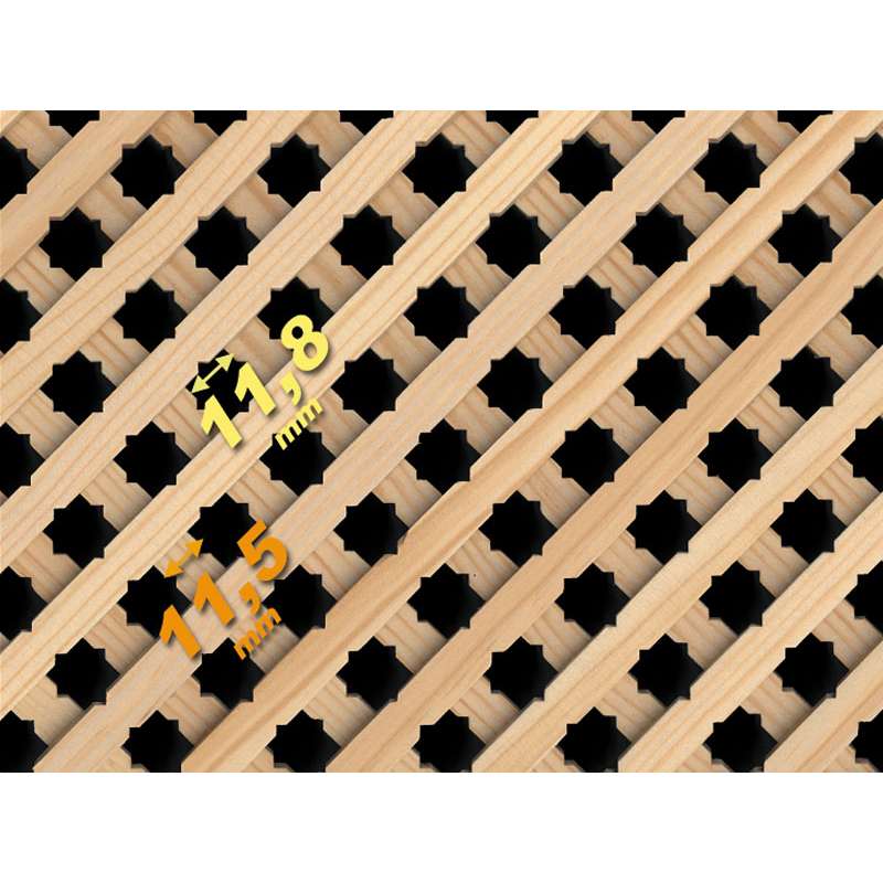 Celosia A4 Estrella Pino