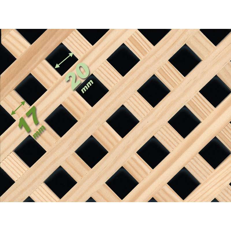 Celosia E12 Clasica Pino