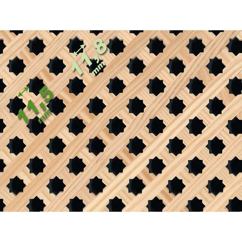 Celosia E4 Estrella Pino