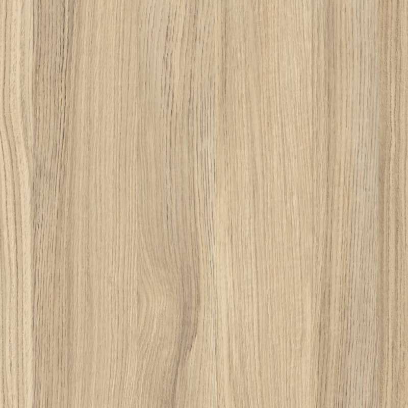 Roble centenario galleta M6284 FUN